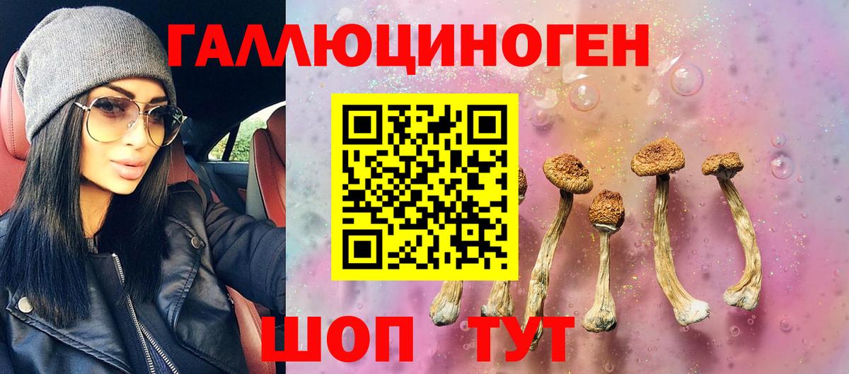 Галлюциногенные грибы Cubensis Мытищи