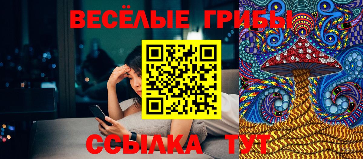 Псилоцибиновые грибы Magic Shrooms  Псилоцибиновые грибы мицелий  Мытищи  Вход с VPN 